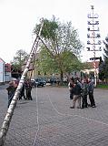 Maibaum 2009 167